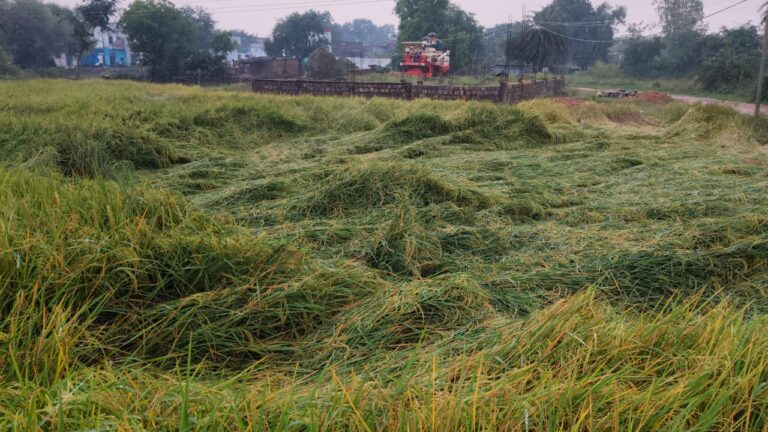 WhatsApp Image 2025-10-30 at 18.01.59_33f900a4