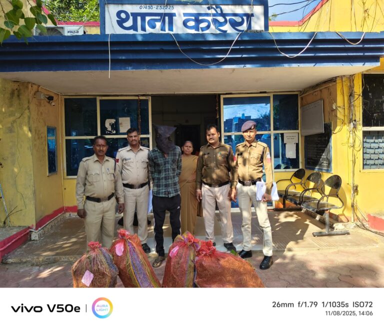 WhatsApp Image 2025-11-08 at 16.44.40_5a013a0c