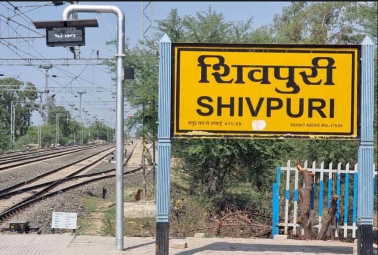 WhatsApp Image 2025-11-08 at 20.07.45_32aa44ba