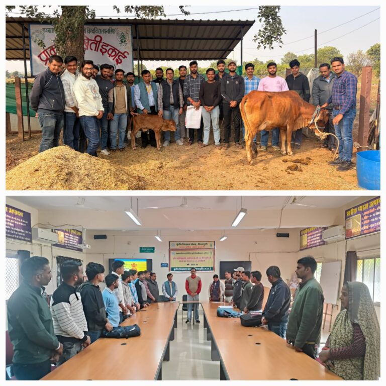 WhatsApp Image 2025-11-26 at 18.16.53_6a05f788