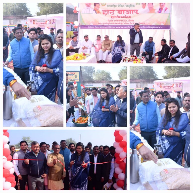 WhatsApp Image 2025-12-14 at 18.36.32_e9d1d3b8