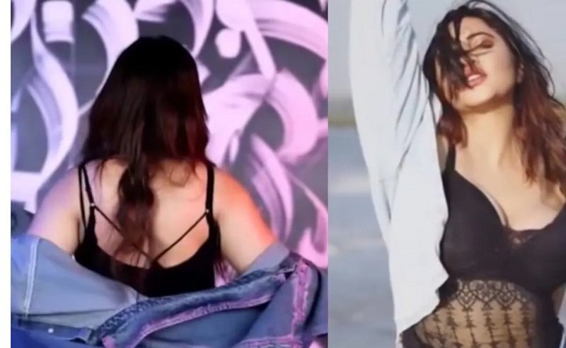 highcort-10-1764919161