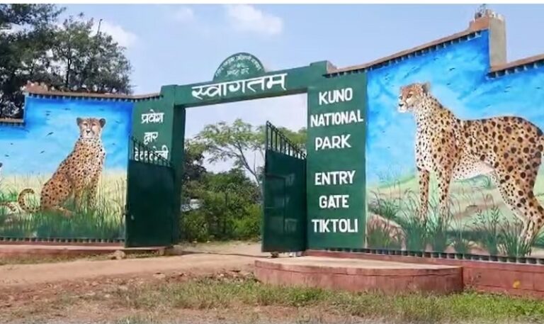 l-bhopal051225110508000-1764963039