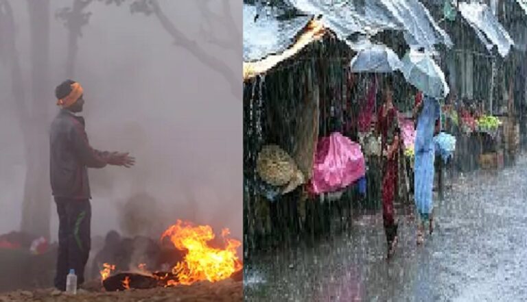 31singraha-9-1769848877