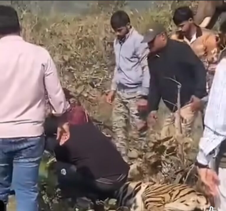 Screenshot_20260113_183242_Facebook