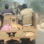 WhatsApp Image 2026-01-20 at 11.09.00 AM