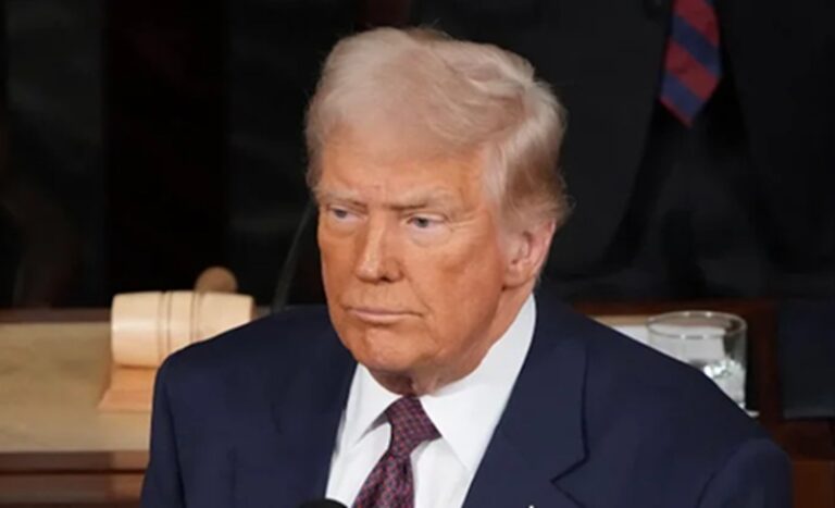 p7_202510311638033669-1