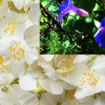 yyyyyyyyy-1768647086