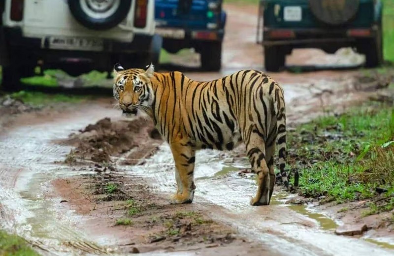 0000000000-1771310784