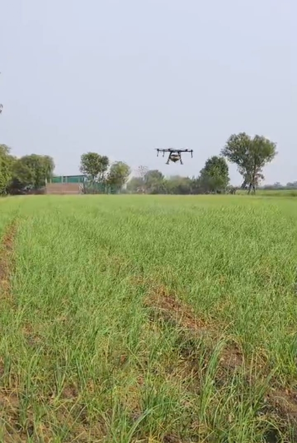 2e0881b3ac48b4a1caf68ec8e440e9ca_1574773534_hight_0_width_600-1770460382