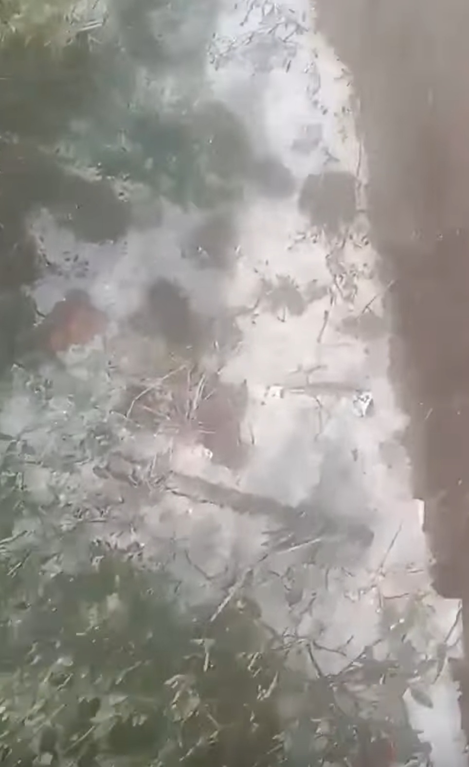 Screenshot_20260223_154249_Facebook