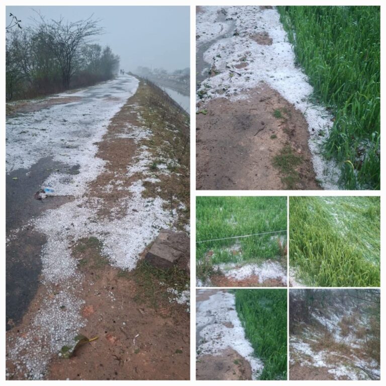 WhatsApp Image 2026-02-03 at 1.22.30 PM