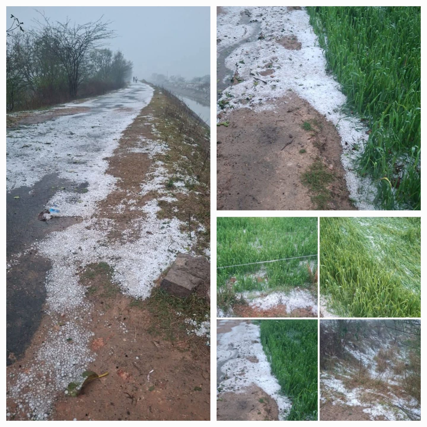 WhatsApp Image 2026-02-03 at 1.22.30 PM