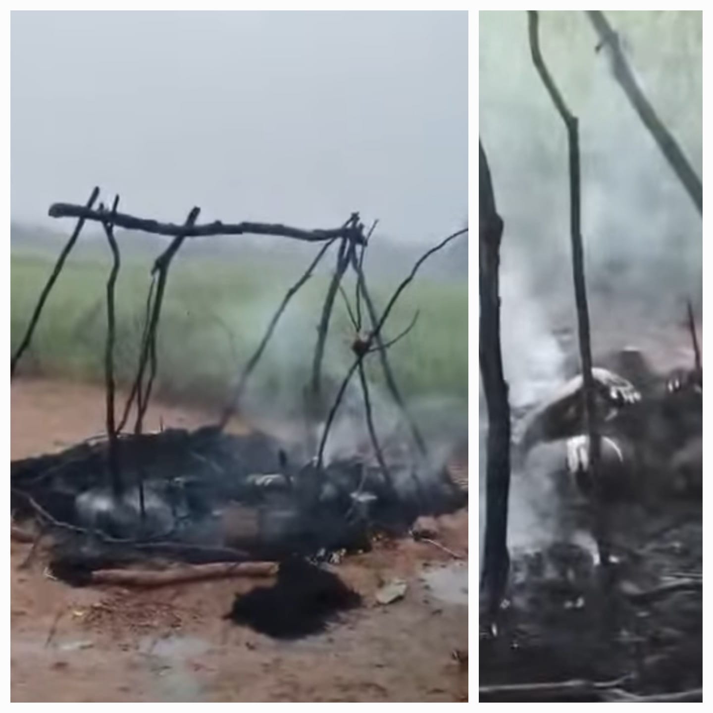 WhatsApp Image 2026-02-03 at 4.10.09 PM (1)