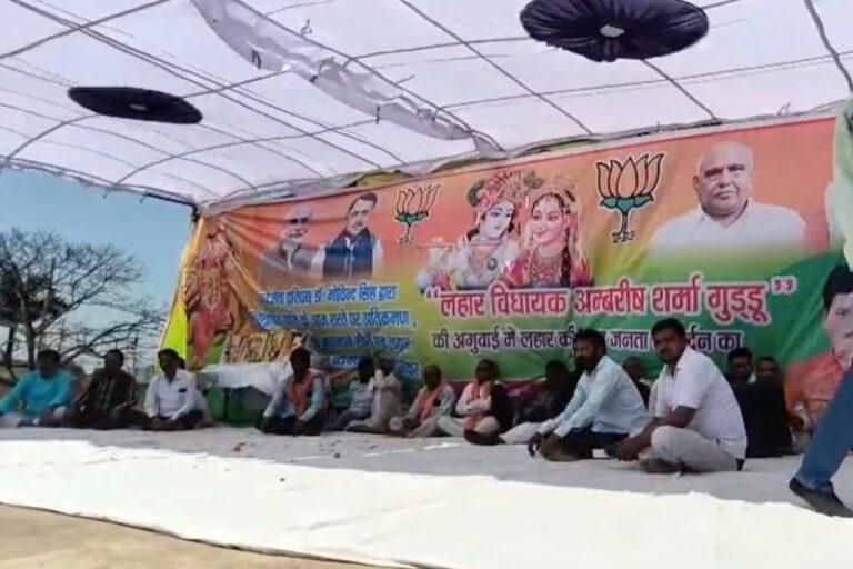 0000000000-1774243349