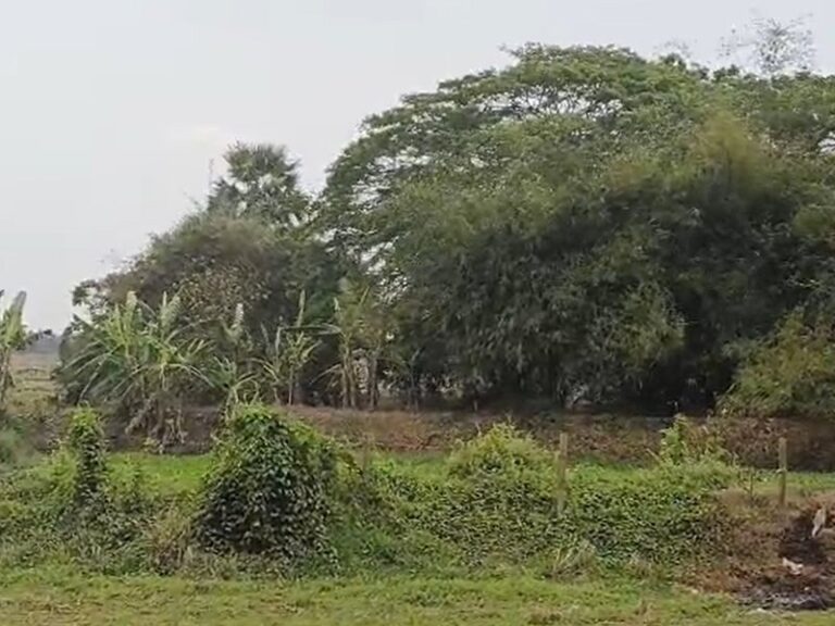 202603173711136-1773748307