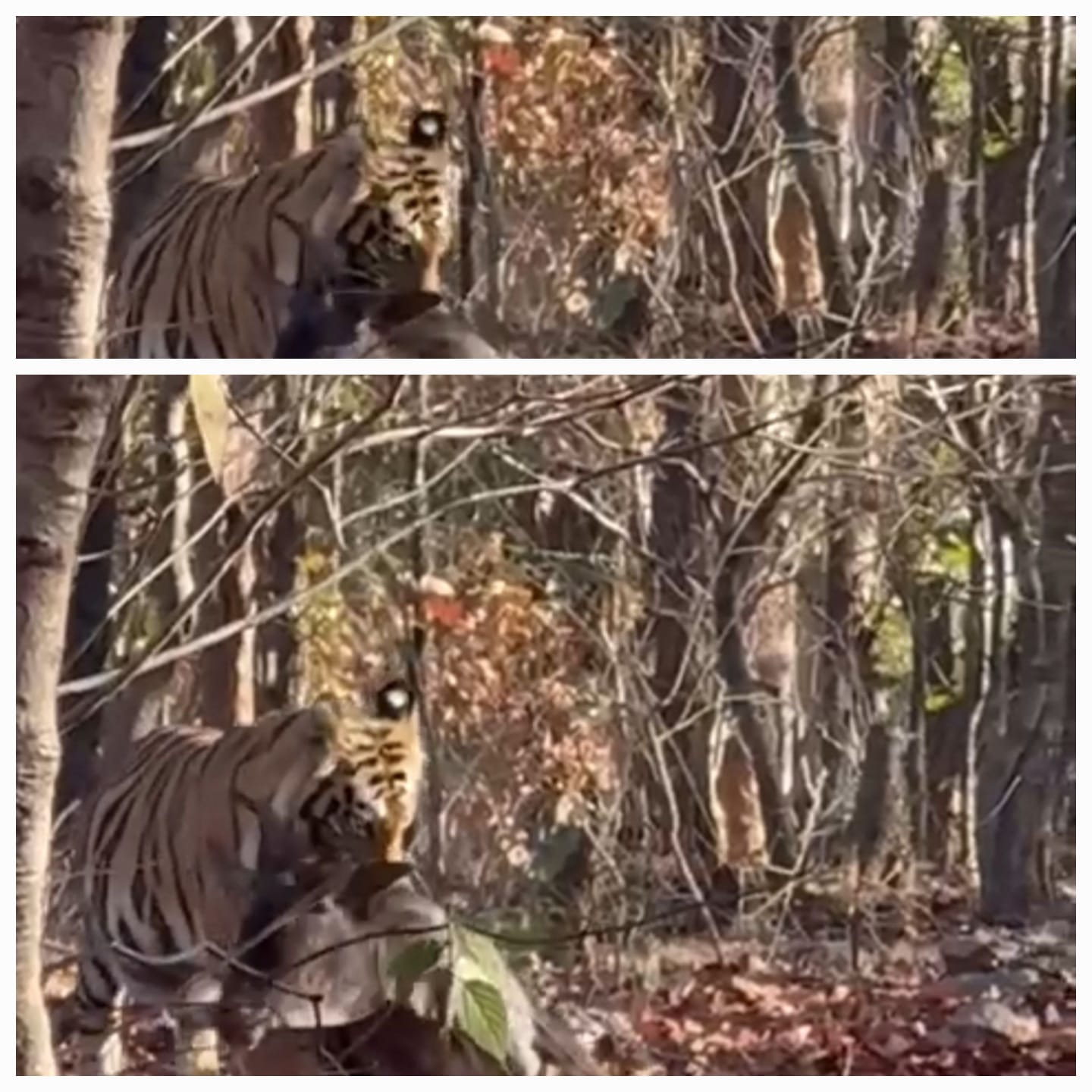 WhatsApp Image 2026-03-24 at 1.17.25 PM