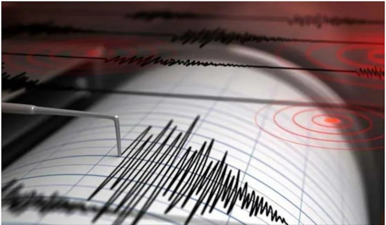 gjhkvkmv-bn-1772532216