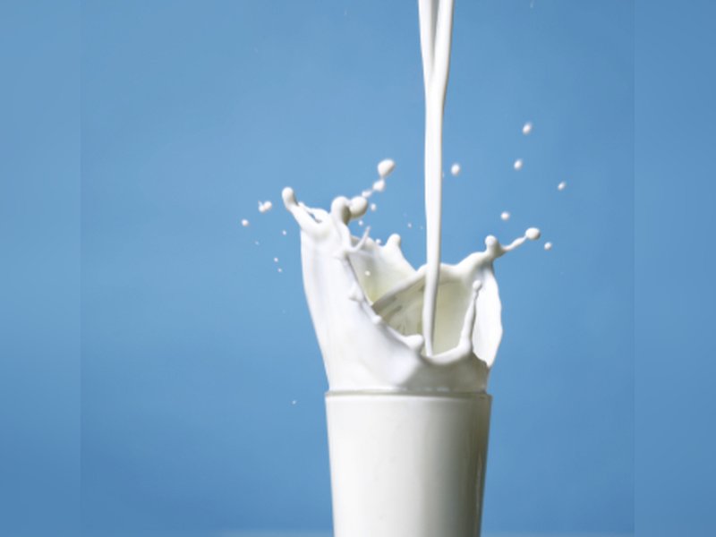 vvvvvvvvvvvvvvvv-1773309401