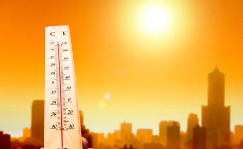 0000000-1776228854-1