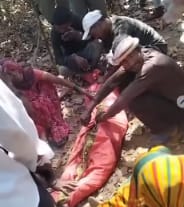 WhatsApp Image 2026-04-10 at 5.48.27 PM