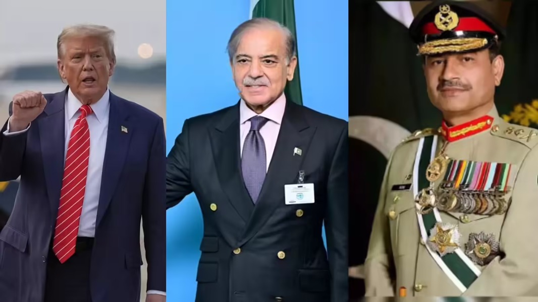 a244f712-30aa-41ec-9ef0-fd073eb48478-1776067969