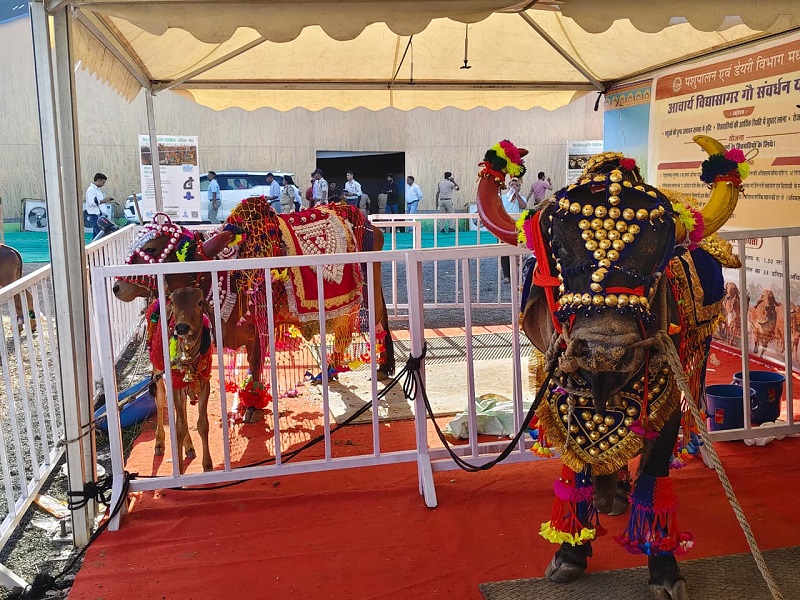 inner-bhopal110426091507-00-1775970836