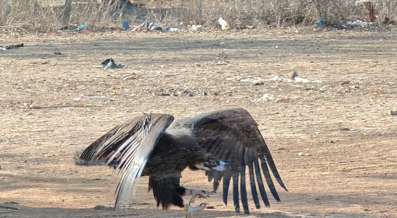 inner-bhopal120426090733-00-1776055037