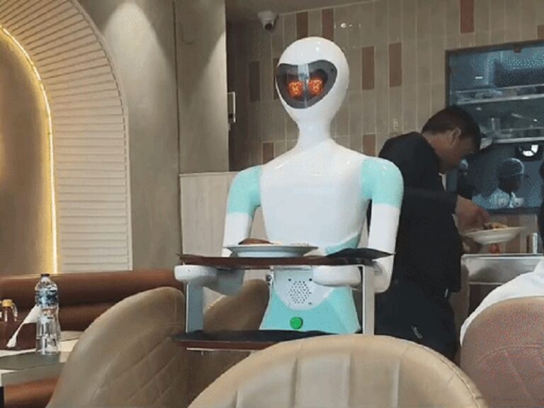 16-56-1778931203