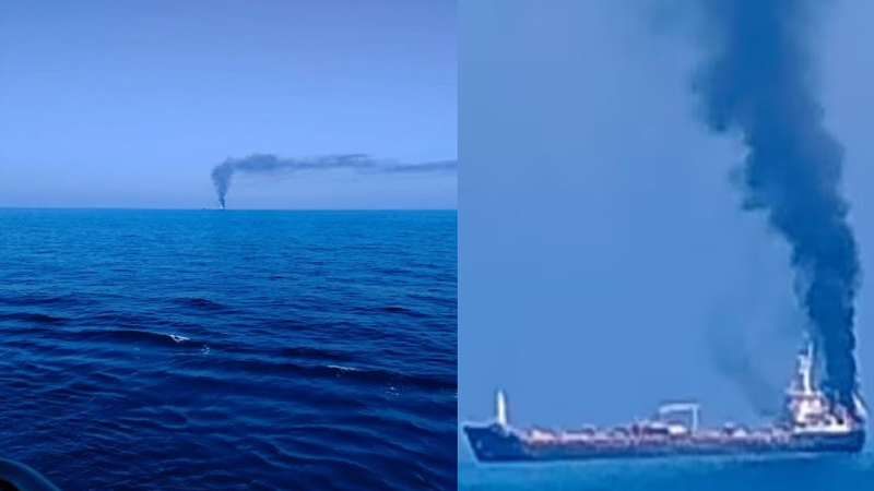 36-1781181006