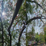 untitled-1780911766