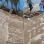 untitled-1788513785